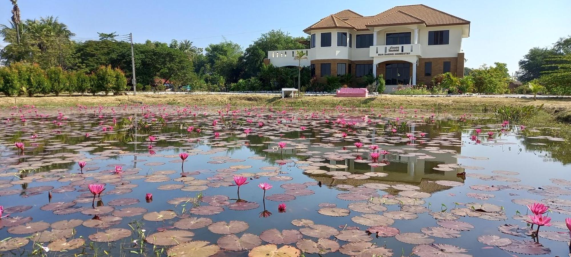 Bua Daeng Homestay Resort Kumphawapi Exteriér fotografie